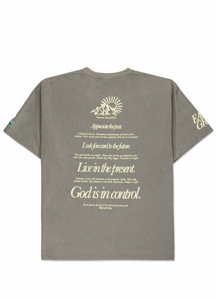 Consider the Birds Tee